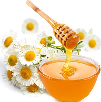 Мед в дополнение к ромашке и мать-и-мачехе является очень эффективным в лечении рожи