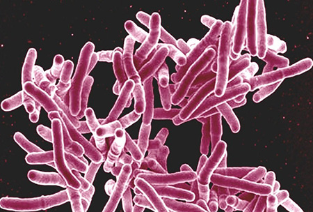 Такая маленькая бактерия может спровоцировать серьезные патологии кожи и внутренних органов