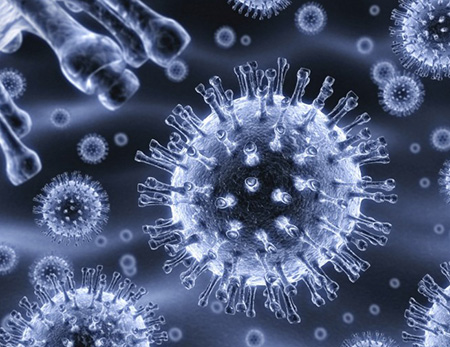 Вирус герпеса под микроскопом