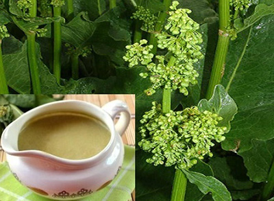 Мазь из семян щавеля – отличное средство для лечения цветного лишая, ее легко можно приготовить дома