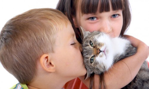 Любовь детей к бездомным животным может обернуться неприятными заболеваниями