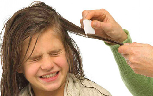 Ежедневный уход за волосами, частое расчесывание помогут защититься от вшей